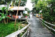 Foto: Cilts sievietes un saldūdens delfīnu meklējumi Borneo